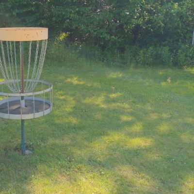 Older style baskets, not sure of brand or model.