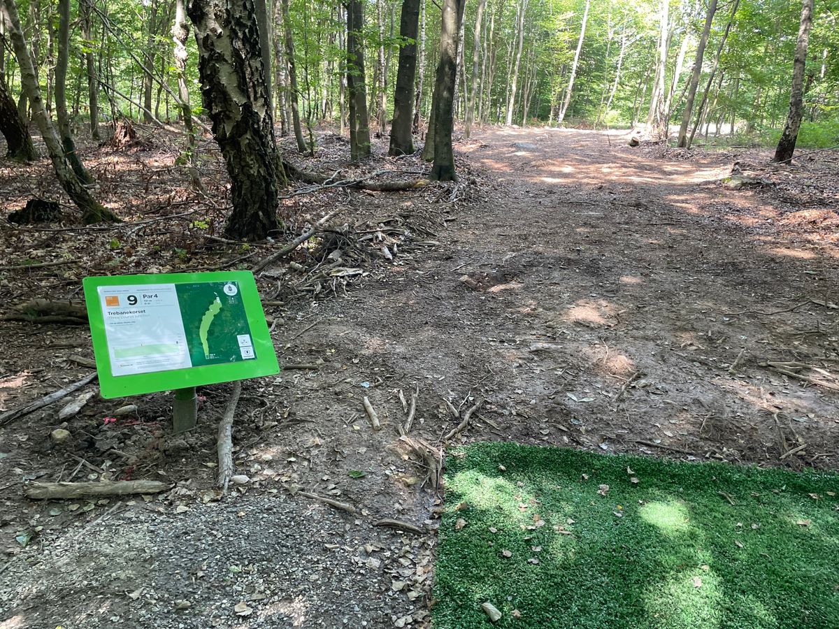 Tee of Skogsbanan, hole 11 