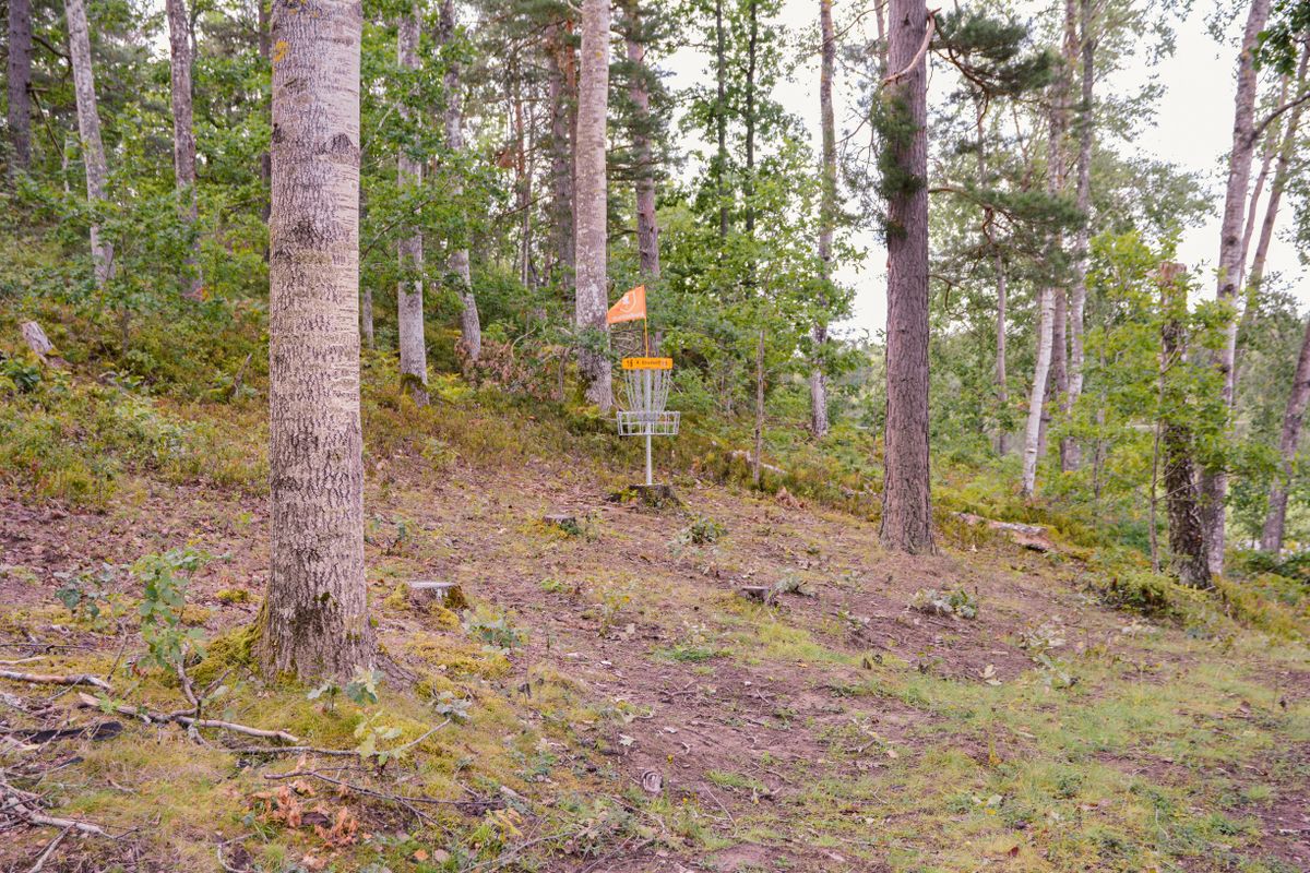 Korg hål 16