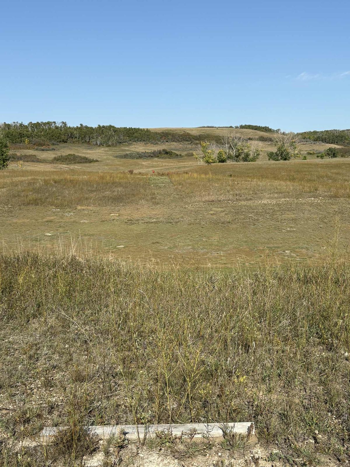Hole 3