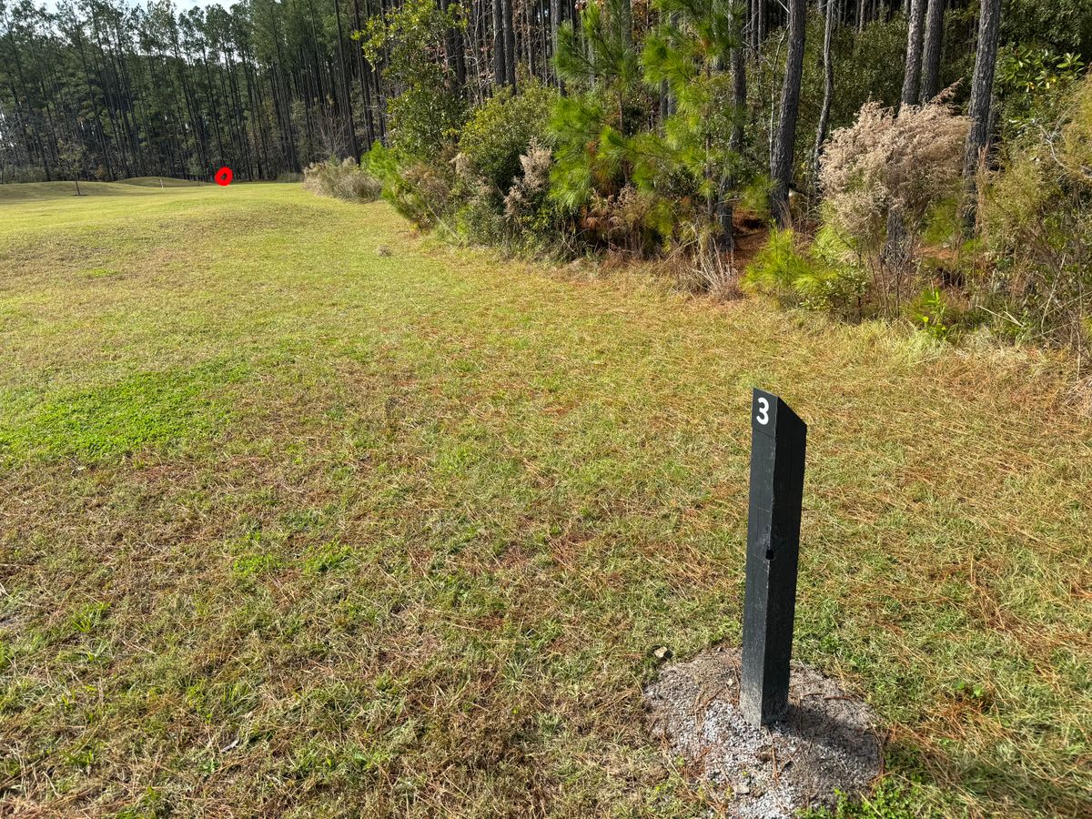 #3 fairway