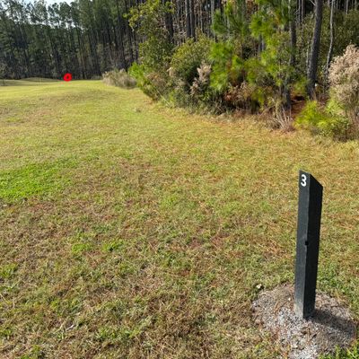 #3 fairway