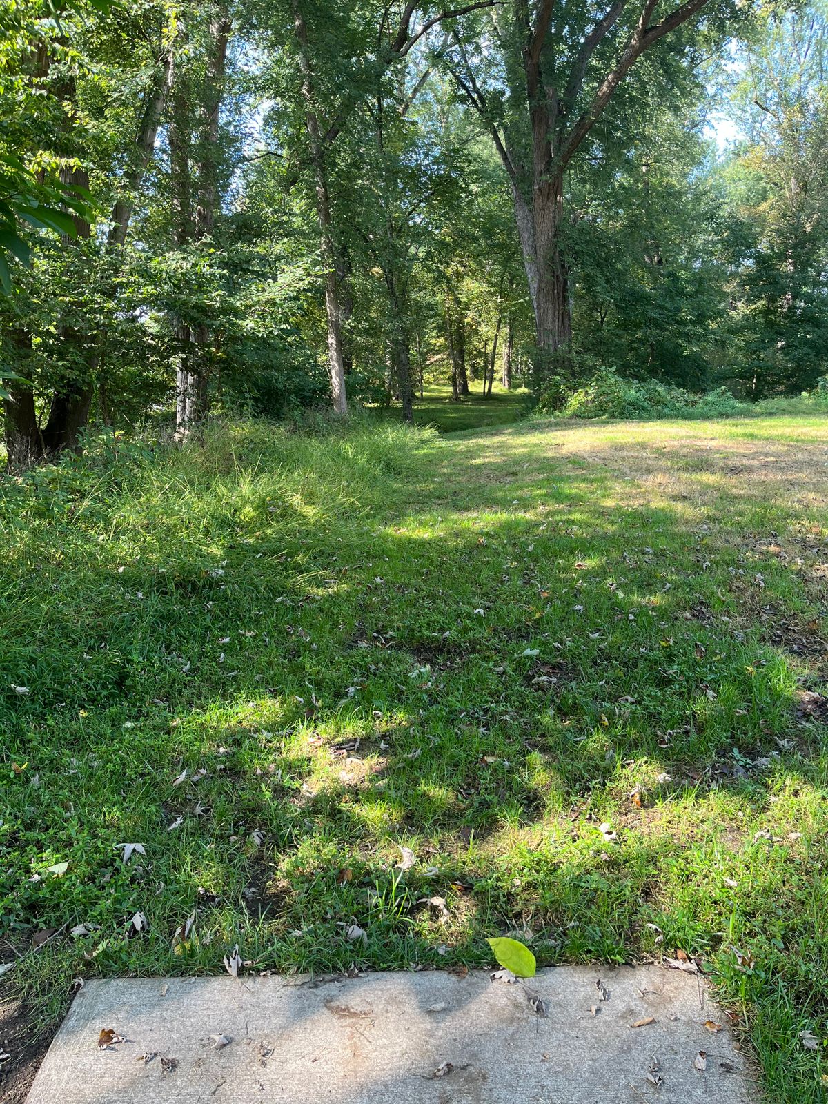 Hole 7