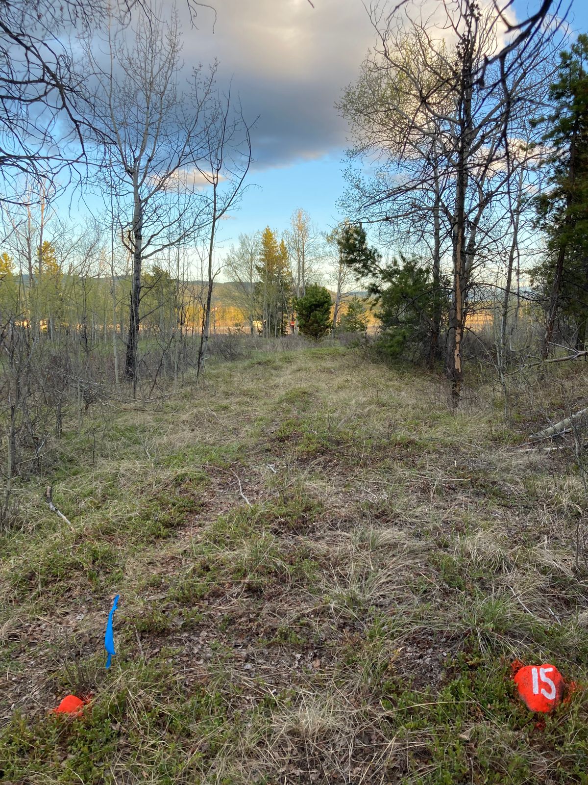 Hole 15 - the cradle shot