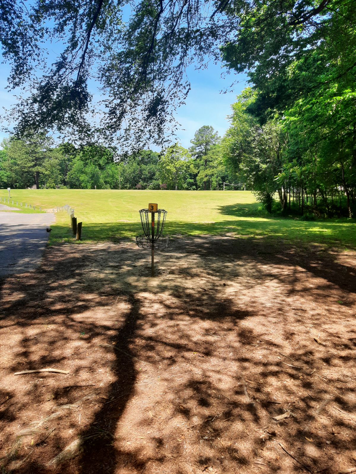 Hole 3 Basket