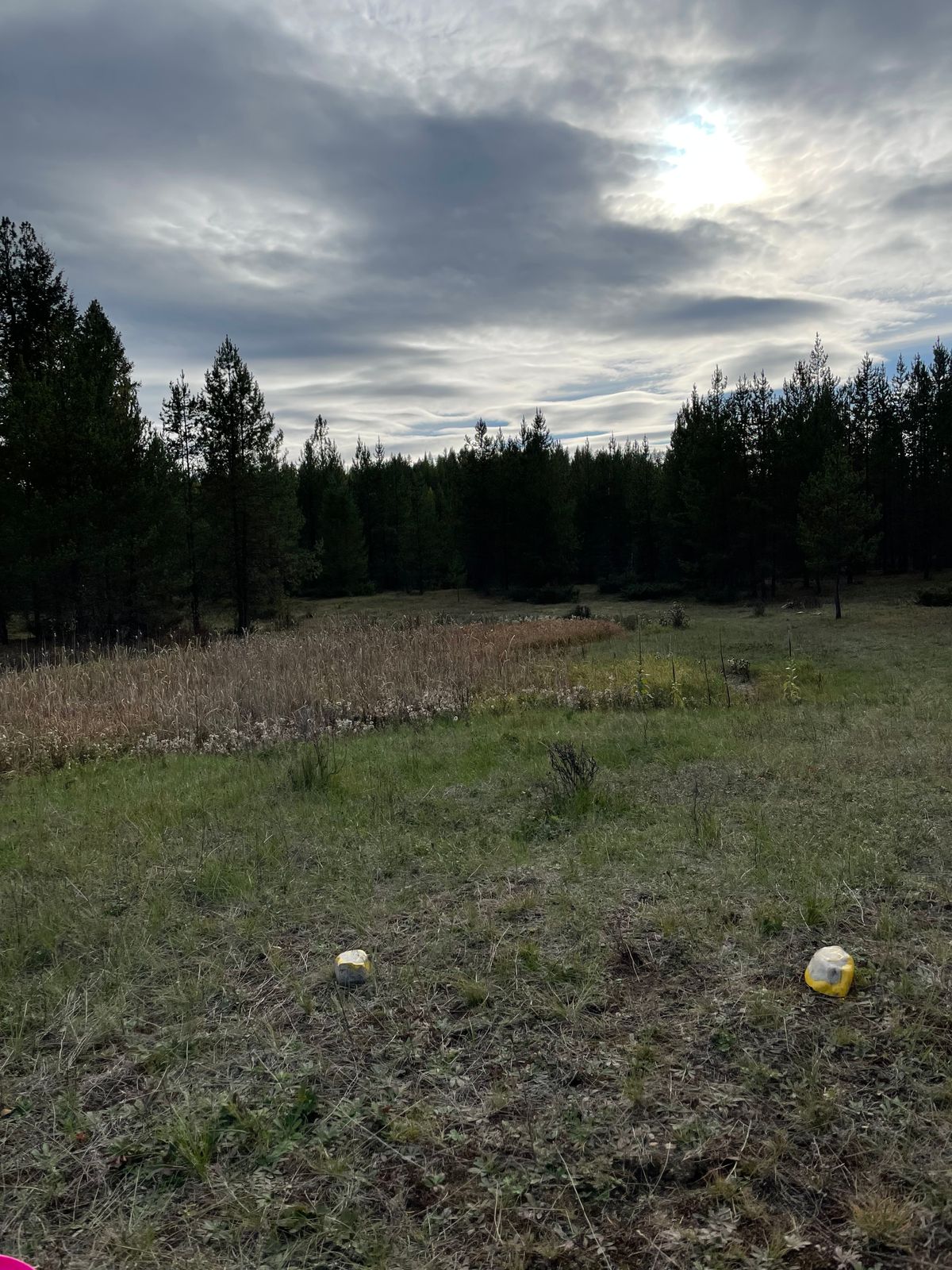 3rd hole tee
