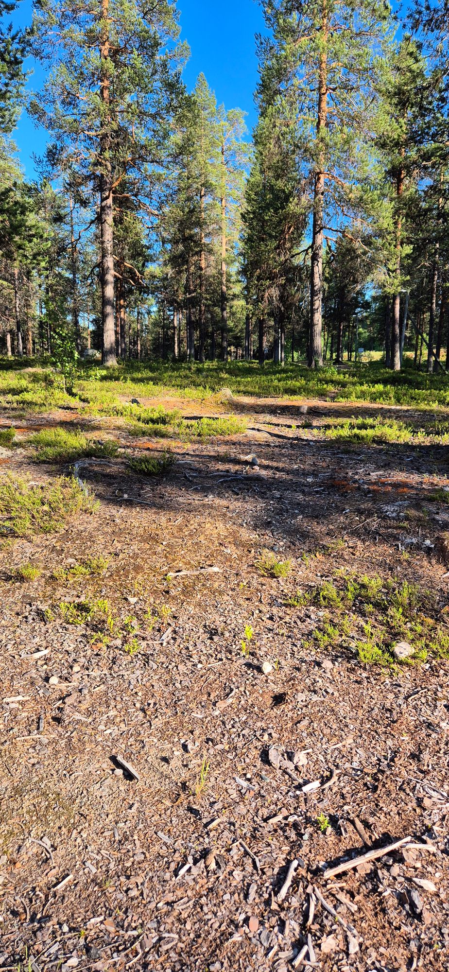 Tee hål 1