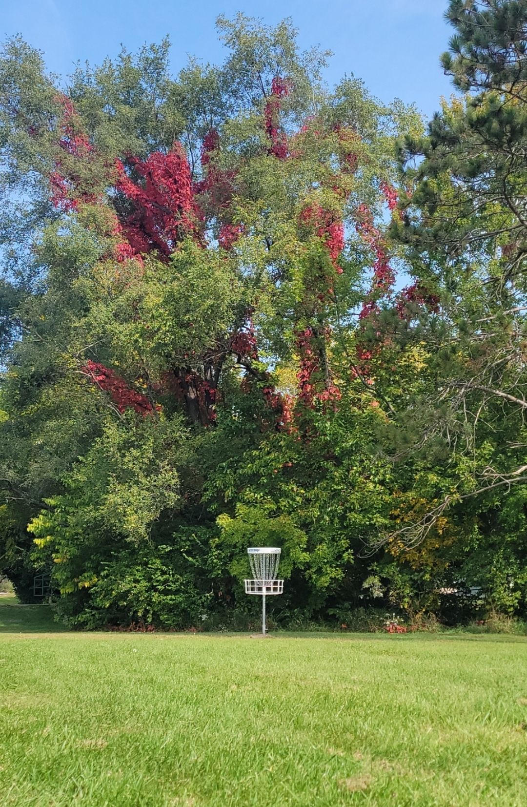 Hole 8 in the long position.
