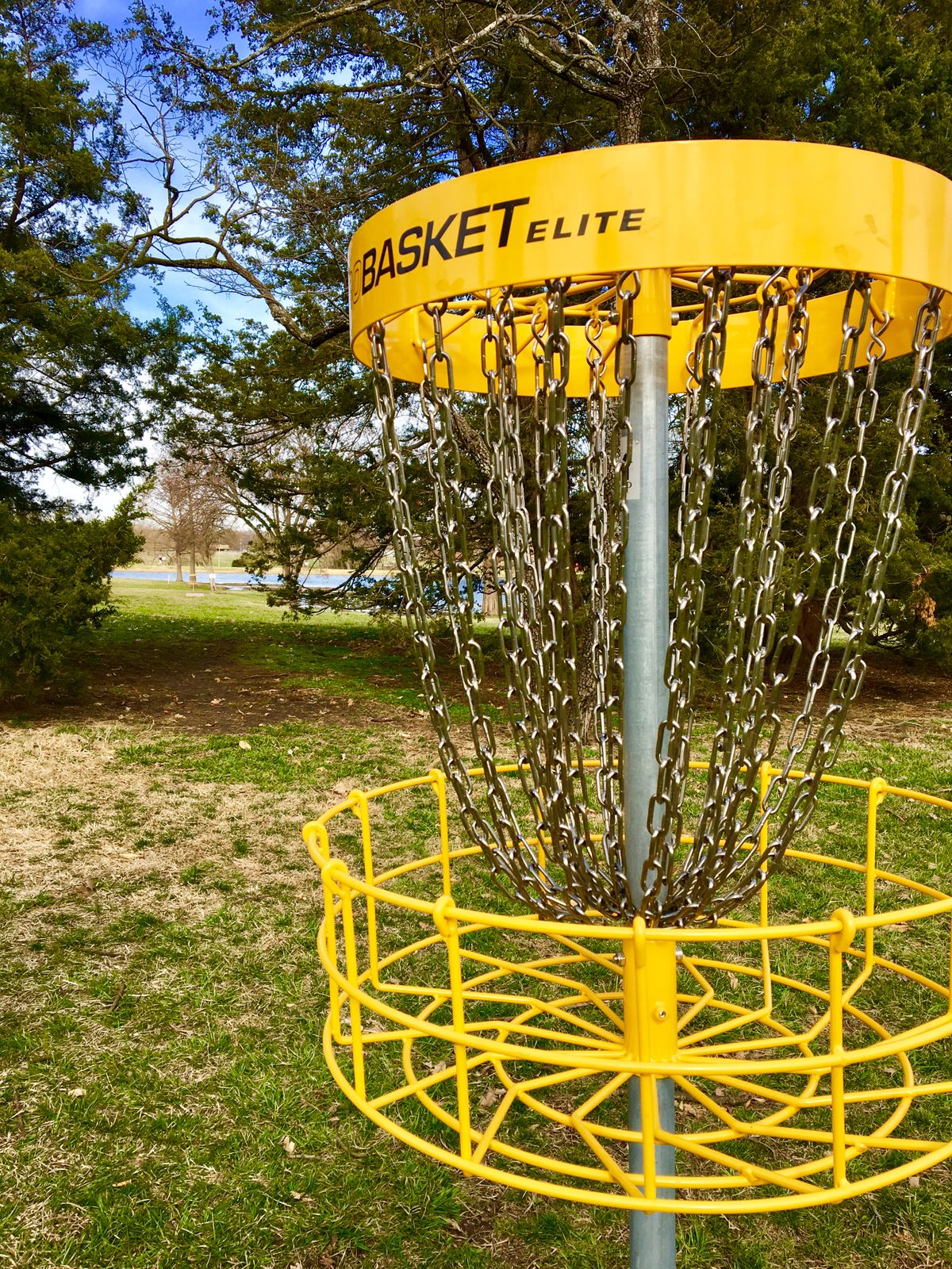 Hole 8 Basket to Tee