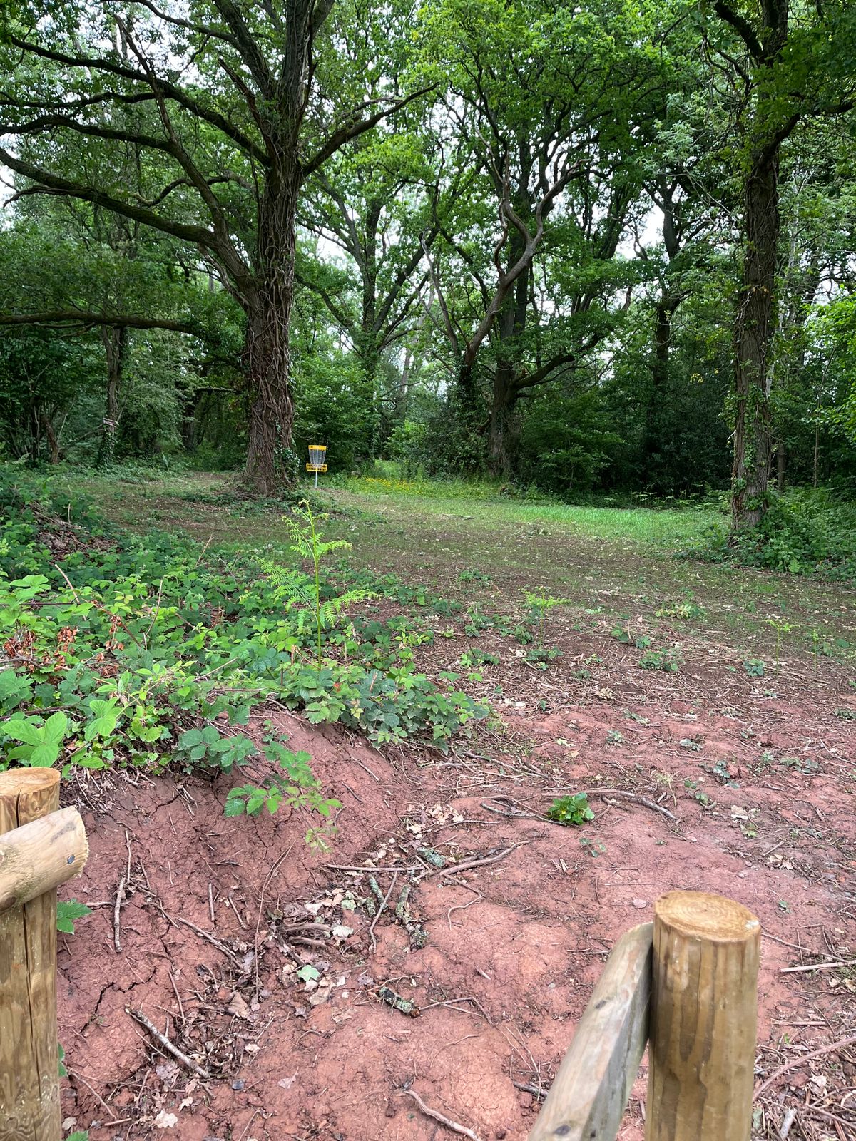 Hole 17 bridge at ob looking to basket