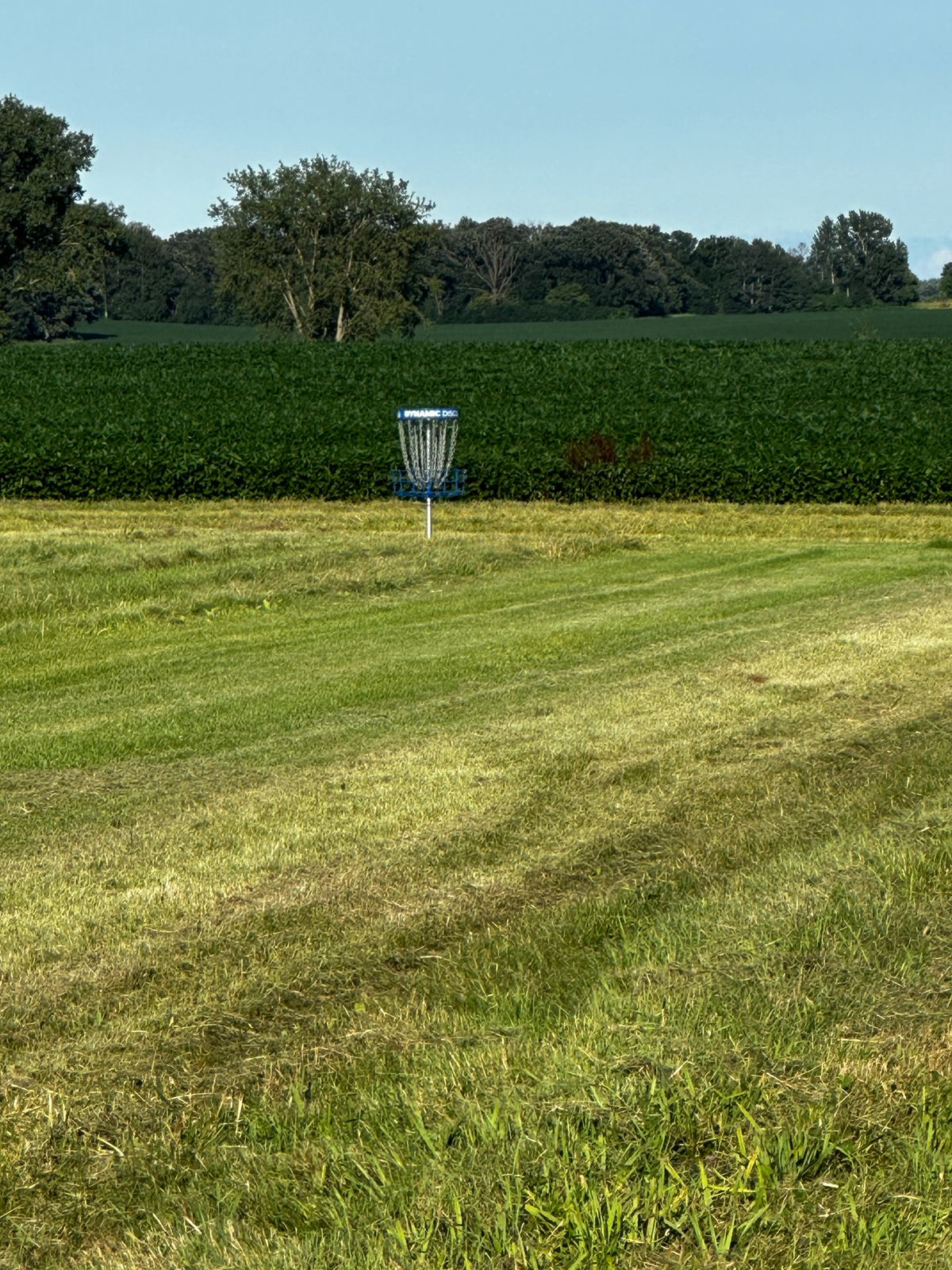 Hole 12 pin
