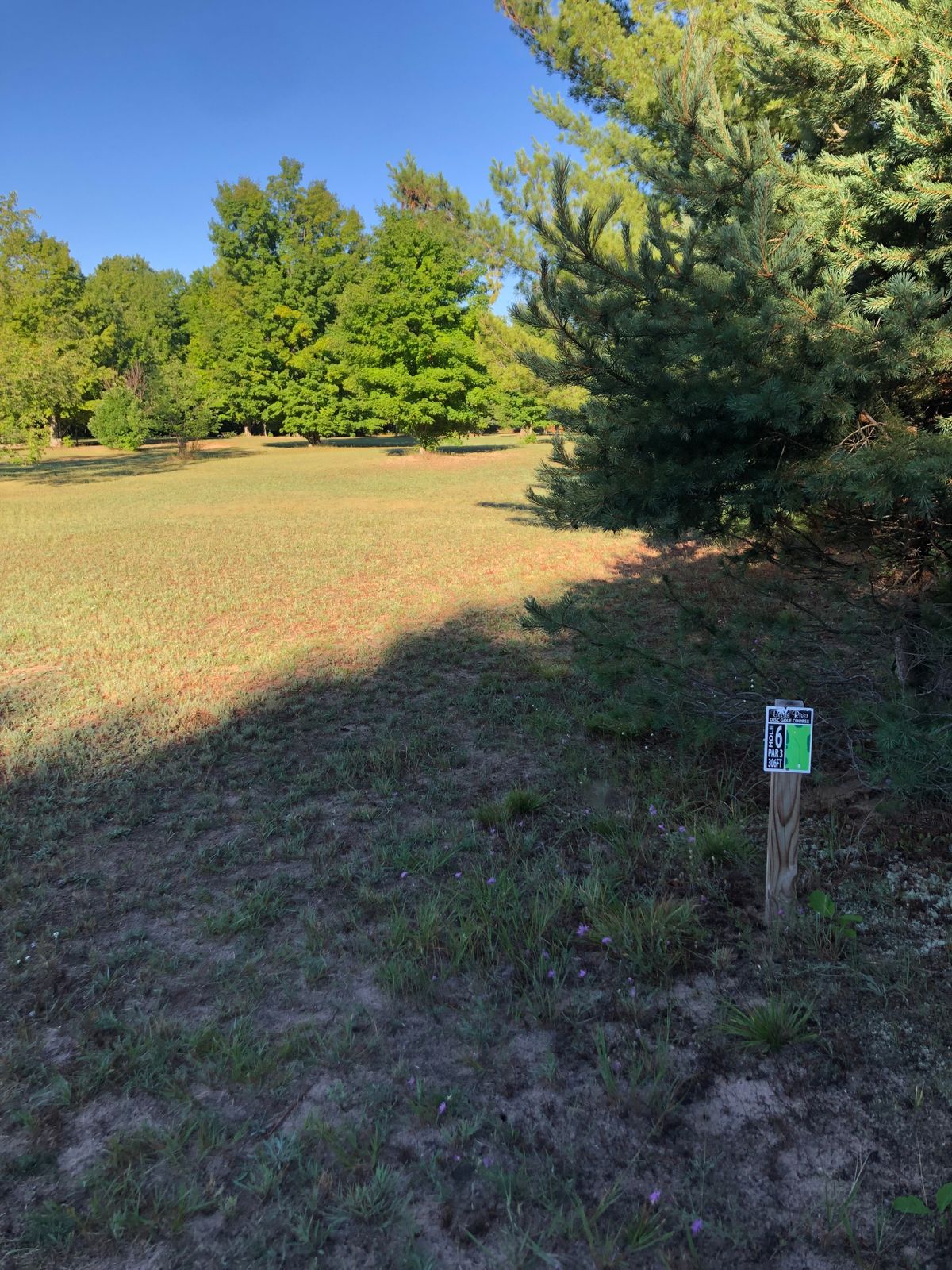 Hole 6