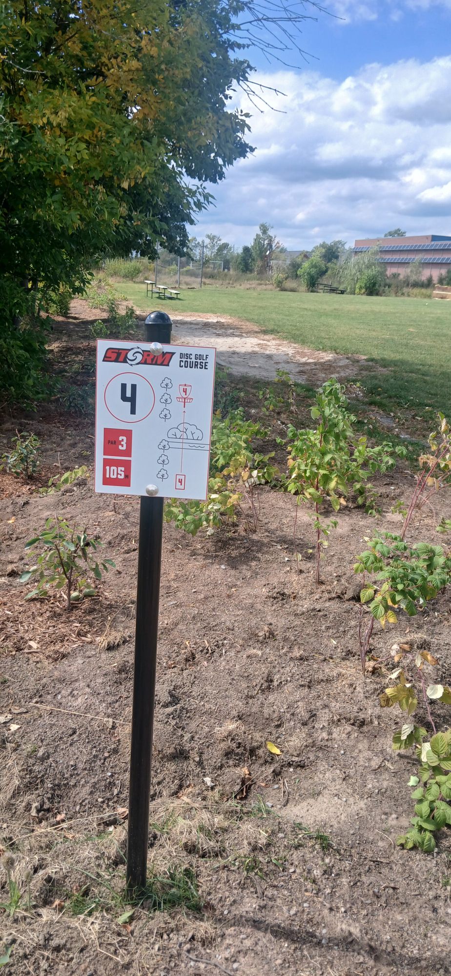 #4 tee is oddly within some newly planted  greens. Maybe this one should be a par 4?