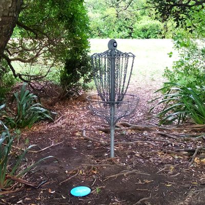 Basket 6, tucked in the trees