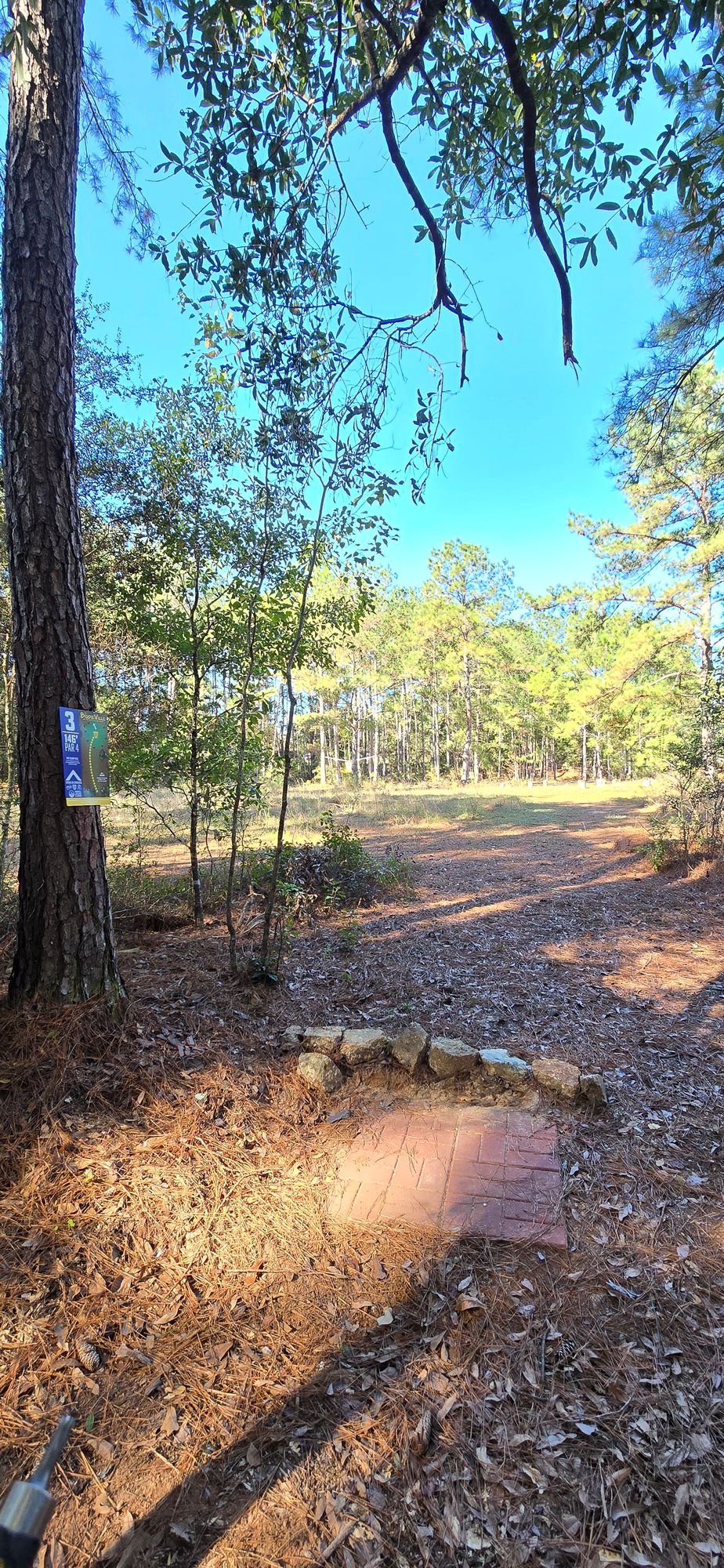 Hole 3