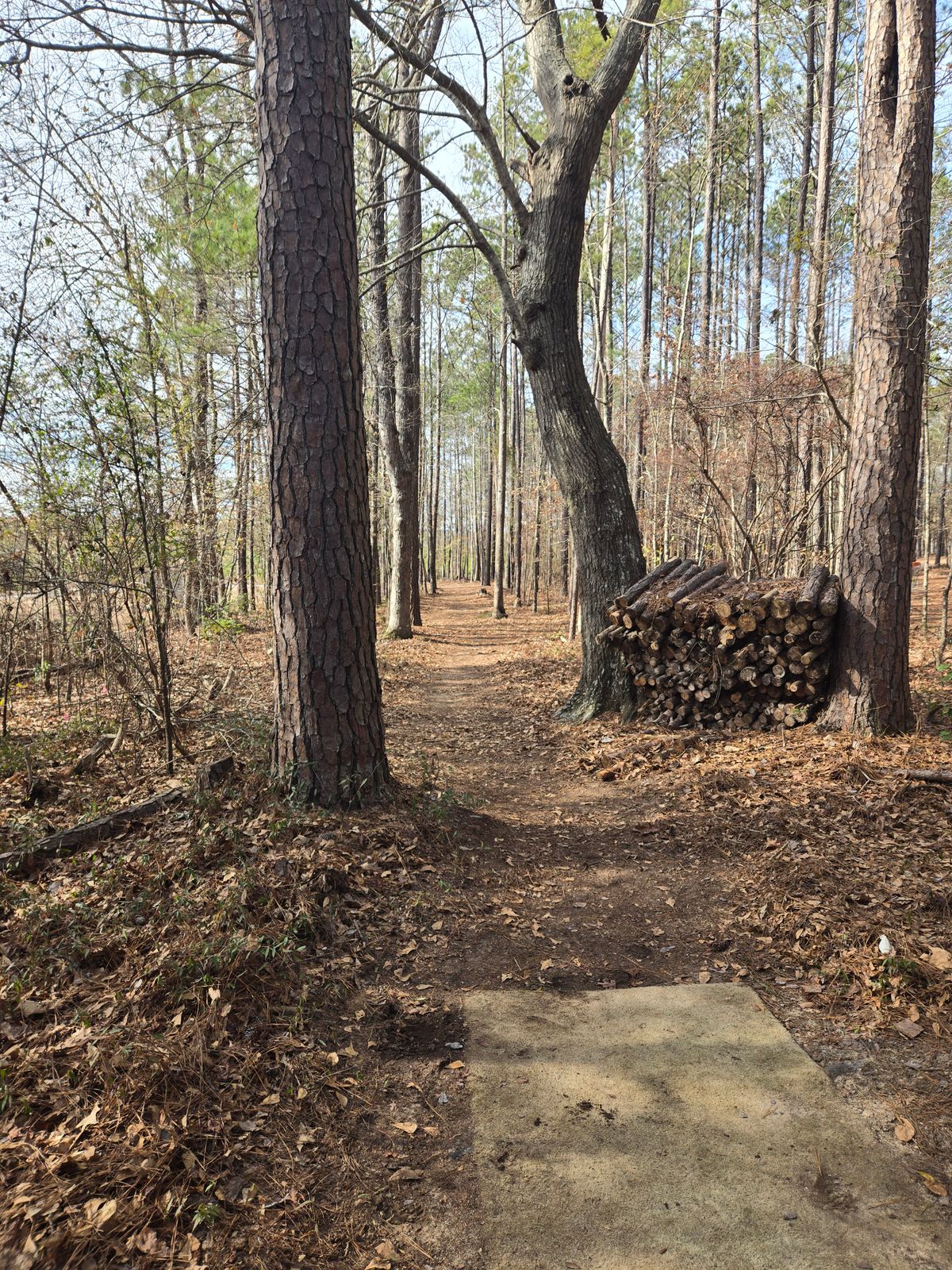 Hole 17