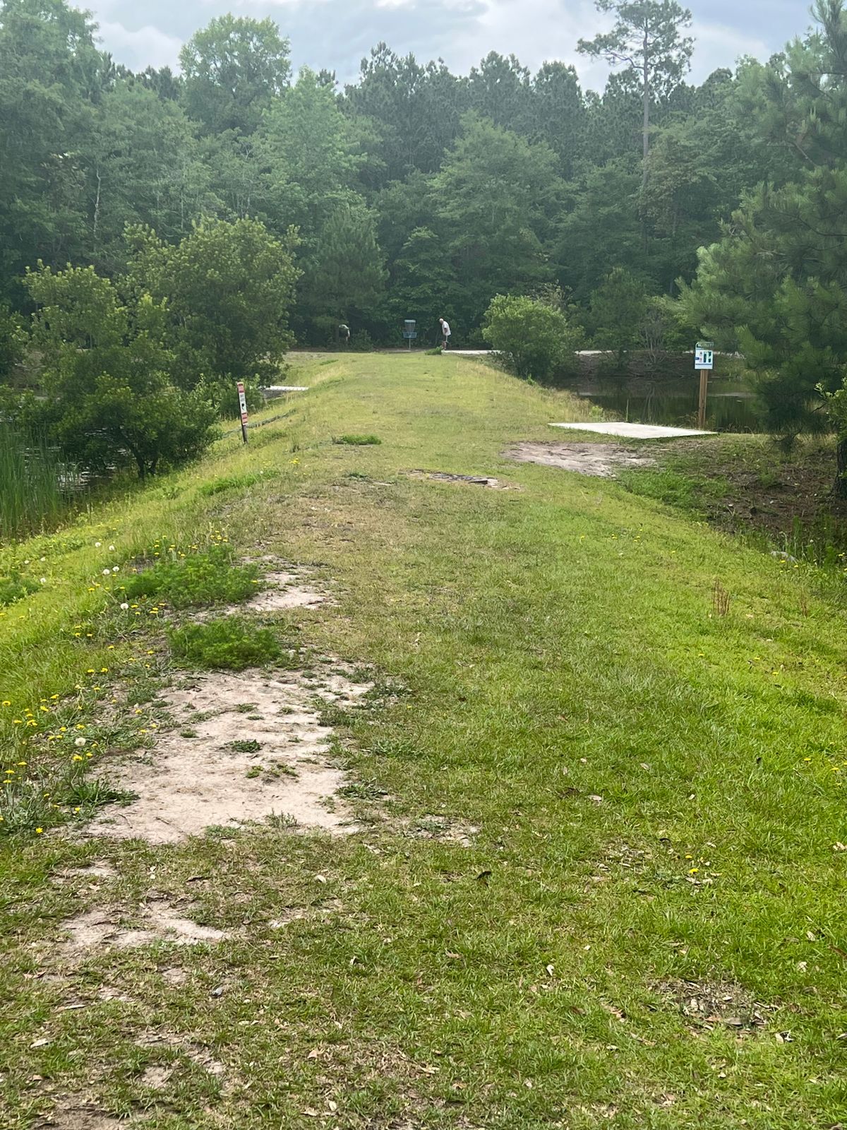 Water on both sides inclusive of some local wildlife