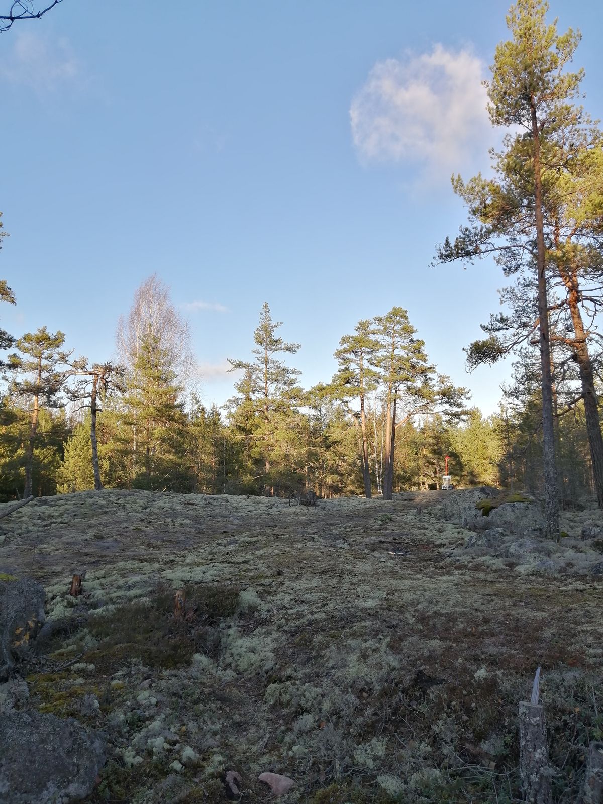 10. Väylä