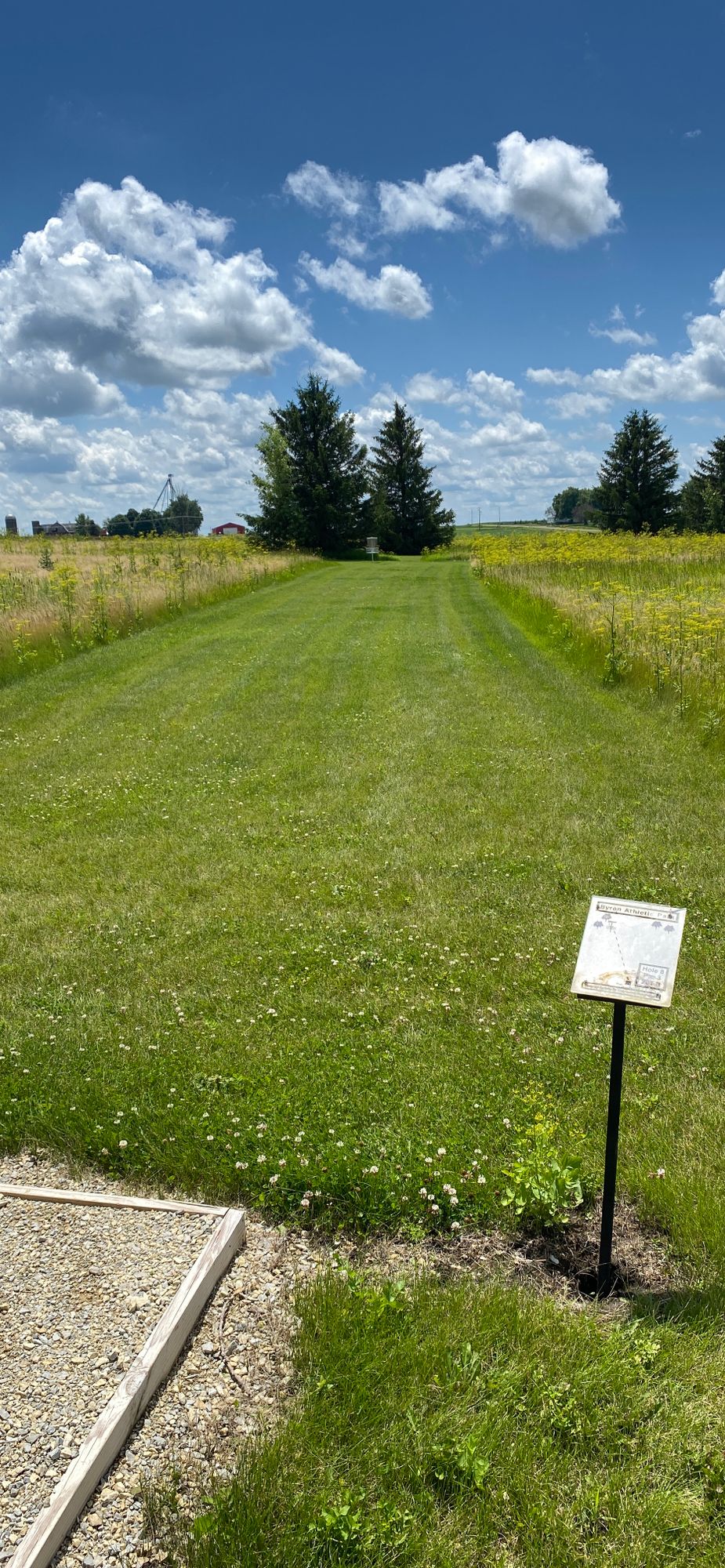 Tee 8