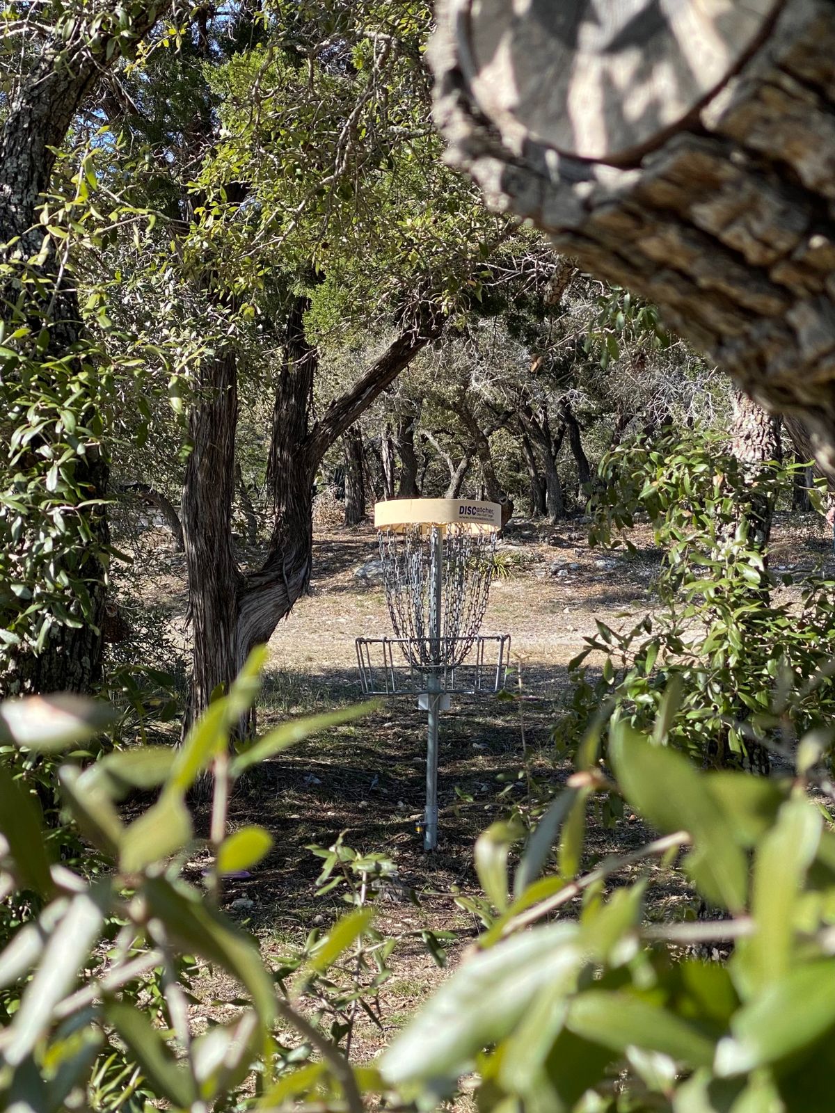 Hole 15’s short alternate pin, as seen from the edge of the OB vineyard left of the basket.