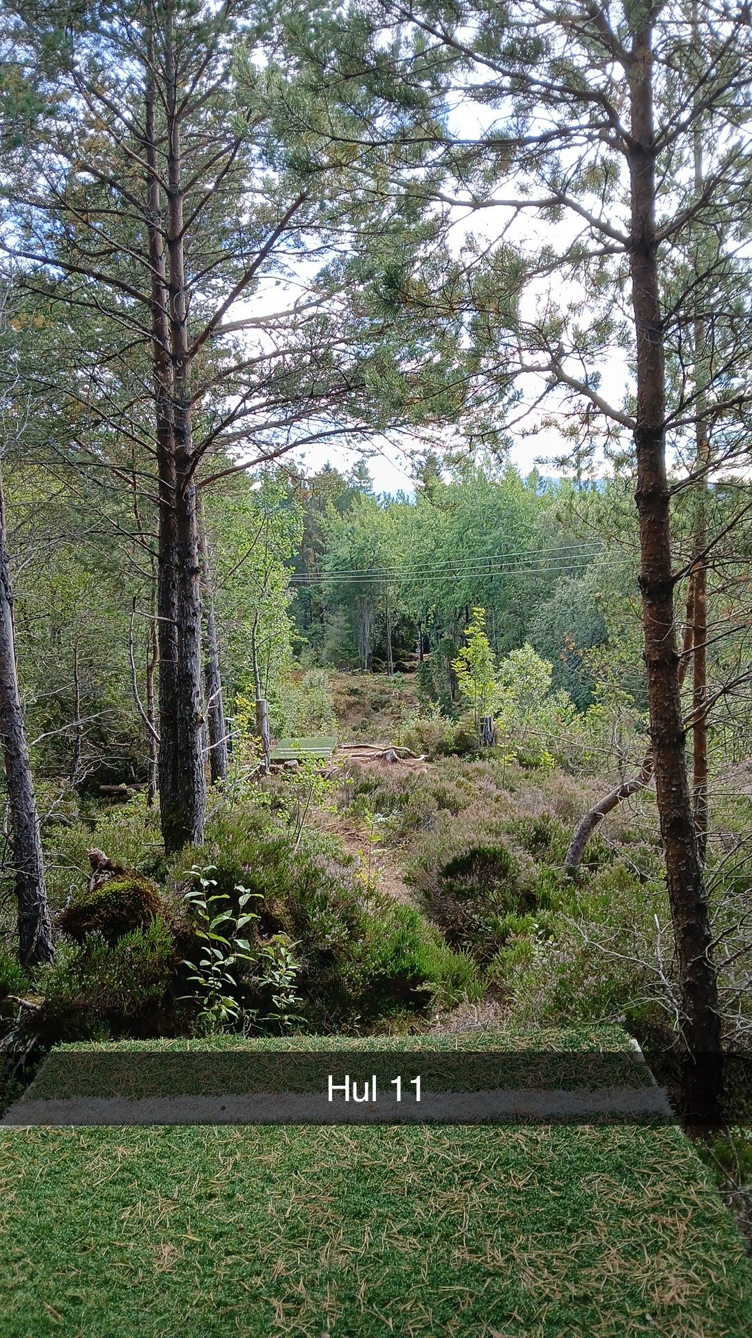 Blå