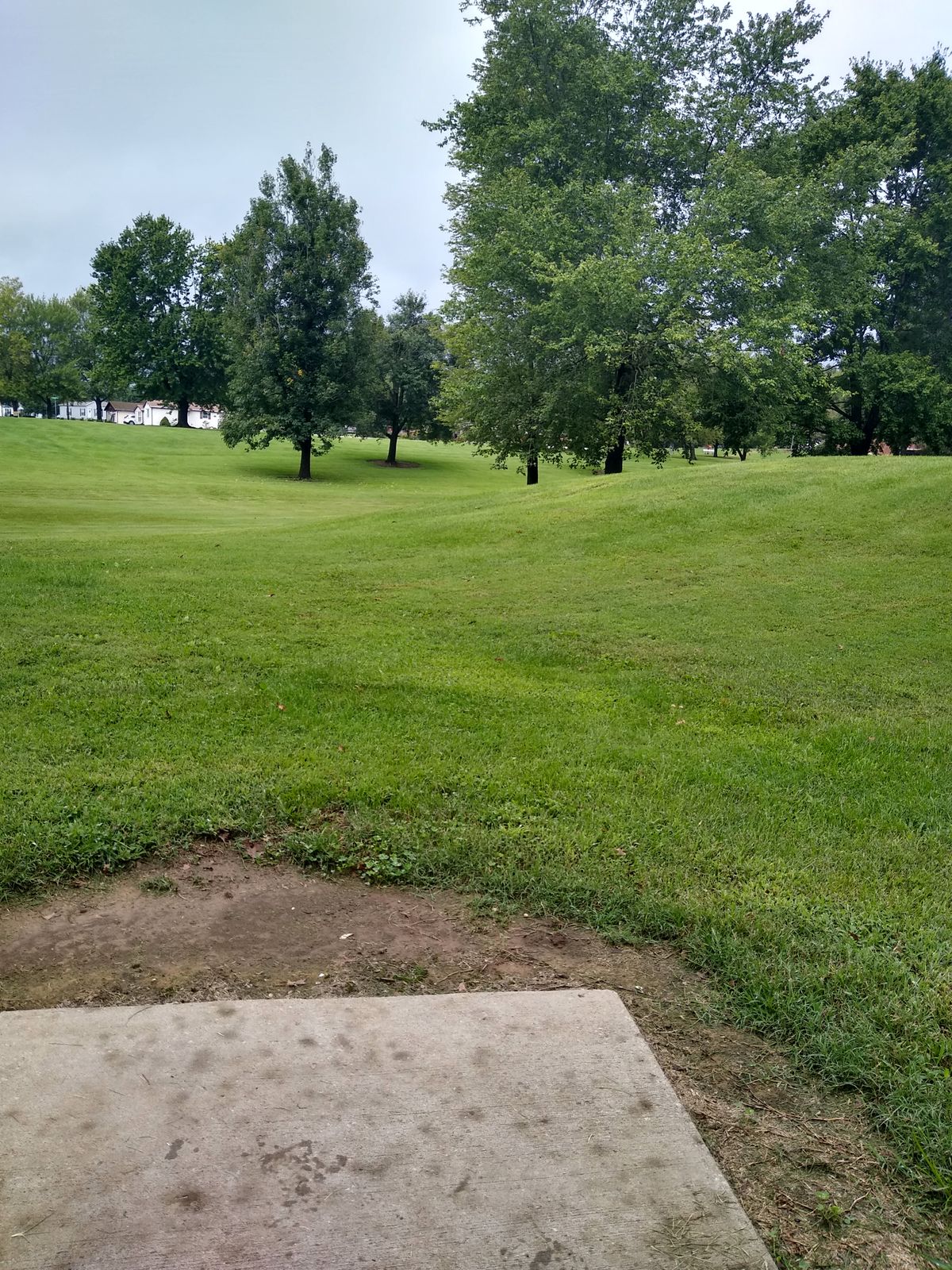 Hole 6 pin is up the hill behind the two trees to the right.