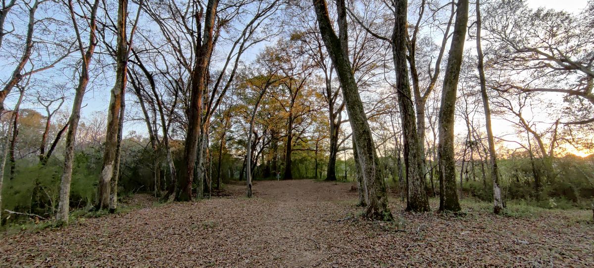 Hole 17 green