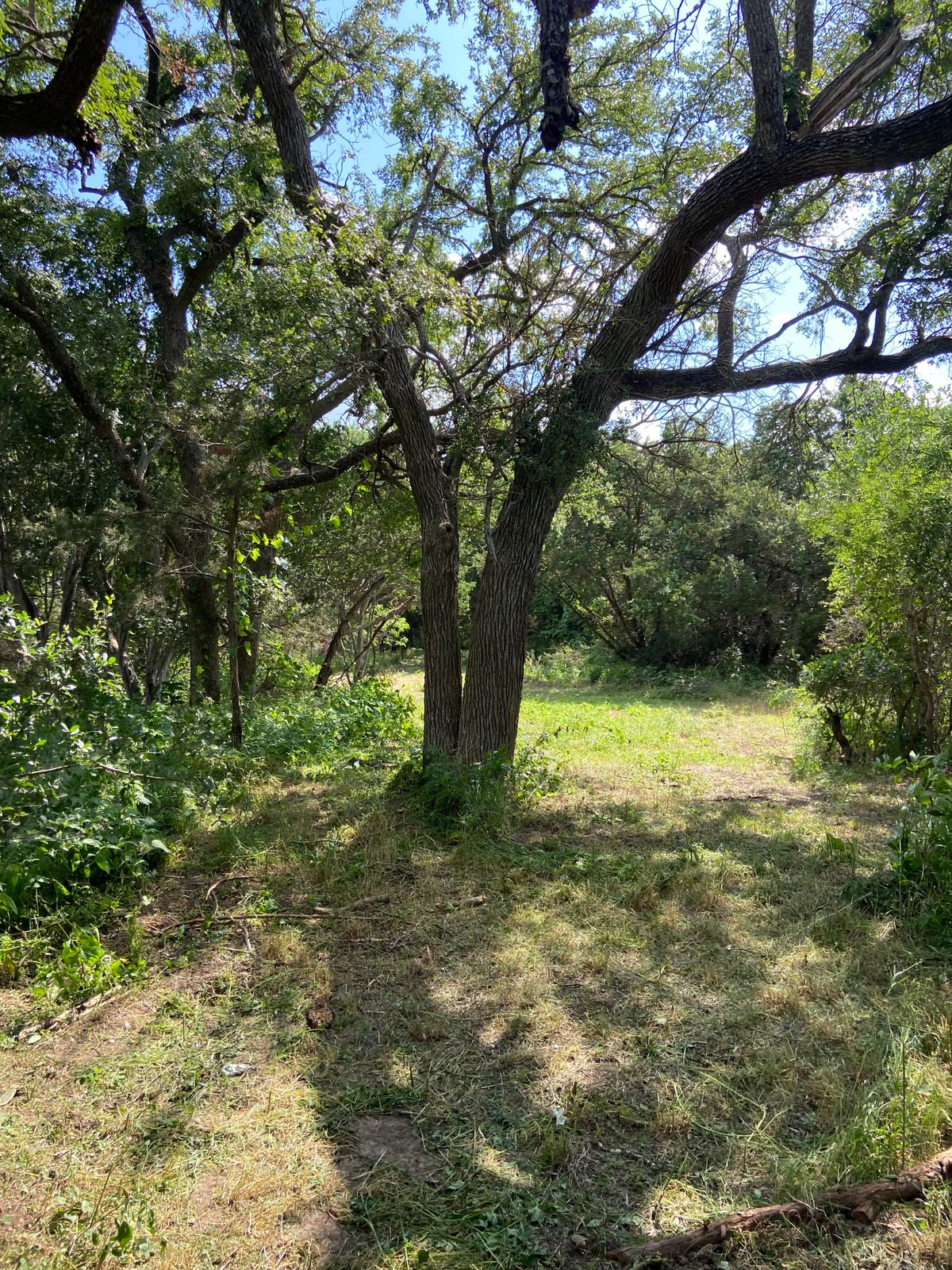 Hole 15 tee