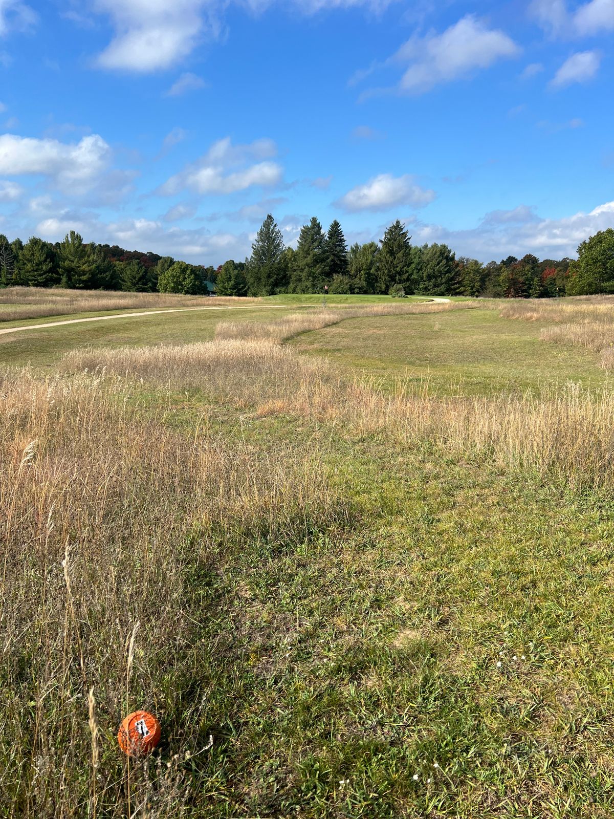 New Hole 7