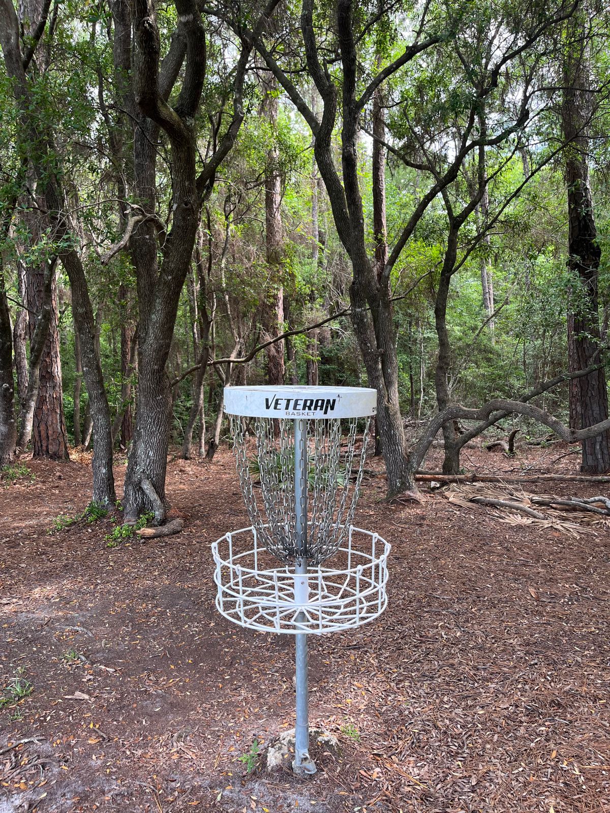 Beautiful vacation course