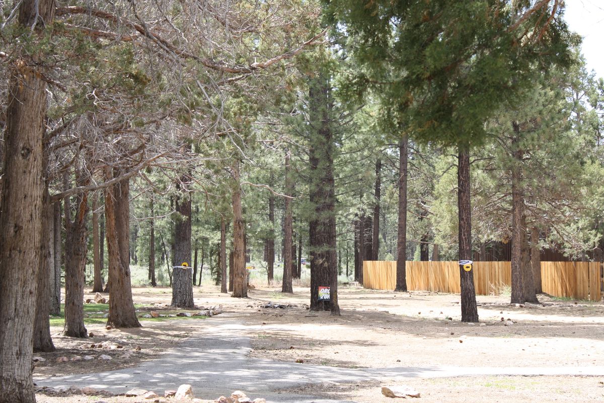 Hole 6 double Mando.