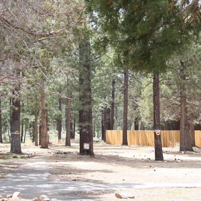 Hole 6 double Mando.