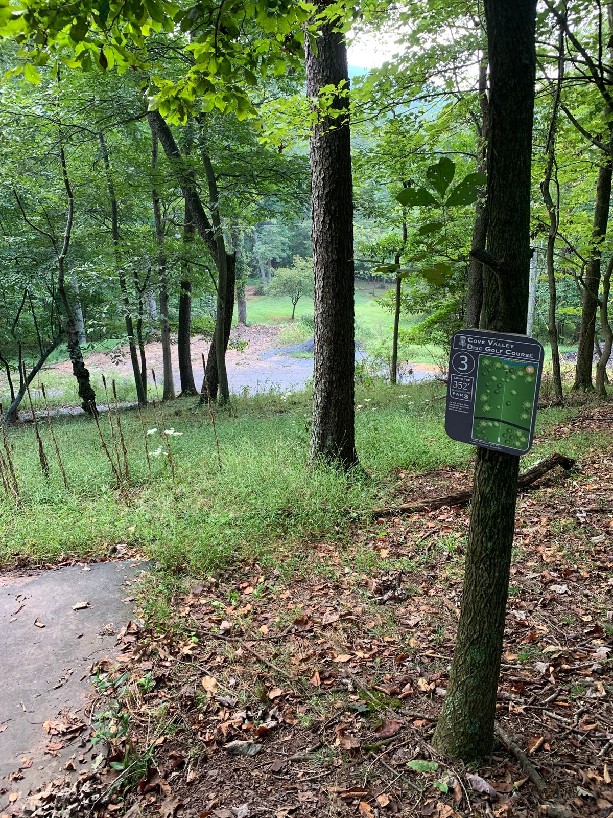 Hole 3, long tee