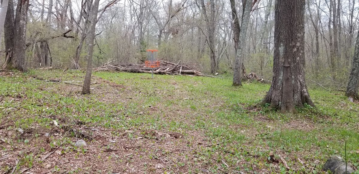 Basket, Hole 5