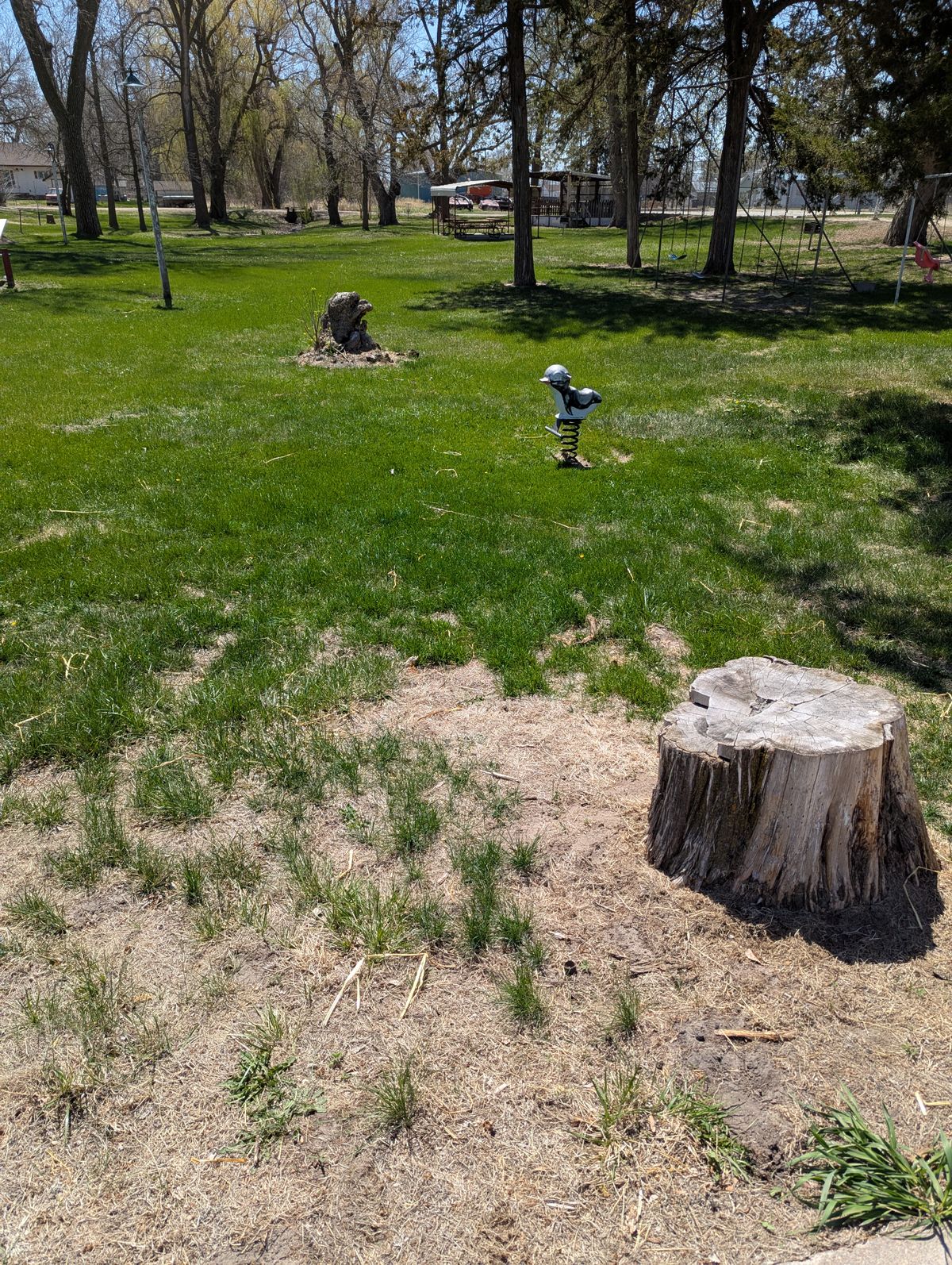 Hole 2 stump