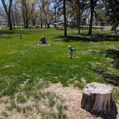 Hole 2 stump