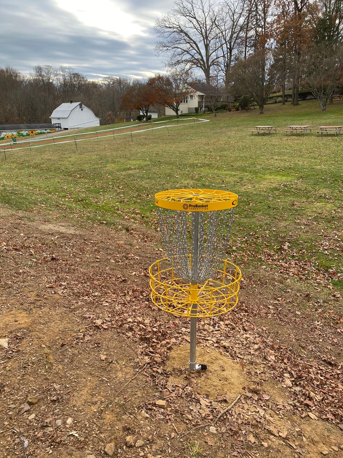 Hole 9 Basket