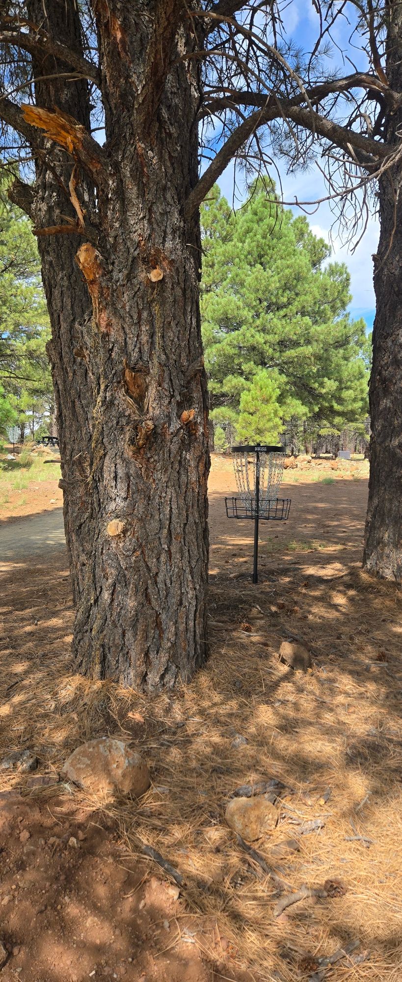 Hole 1