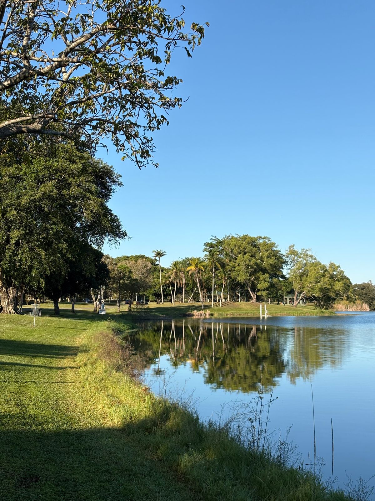 Hole 5, looking towards the basket.