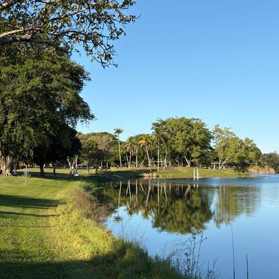 Hole 5, looking towards the basket.