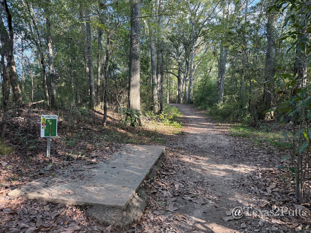 Hole 5