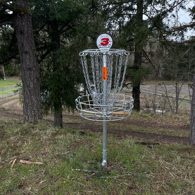 Hole 3 basket with a drop off right behind