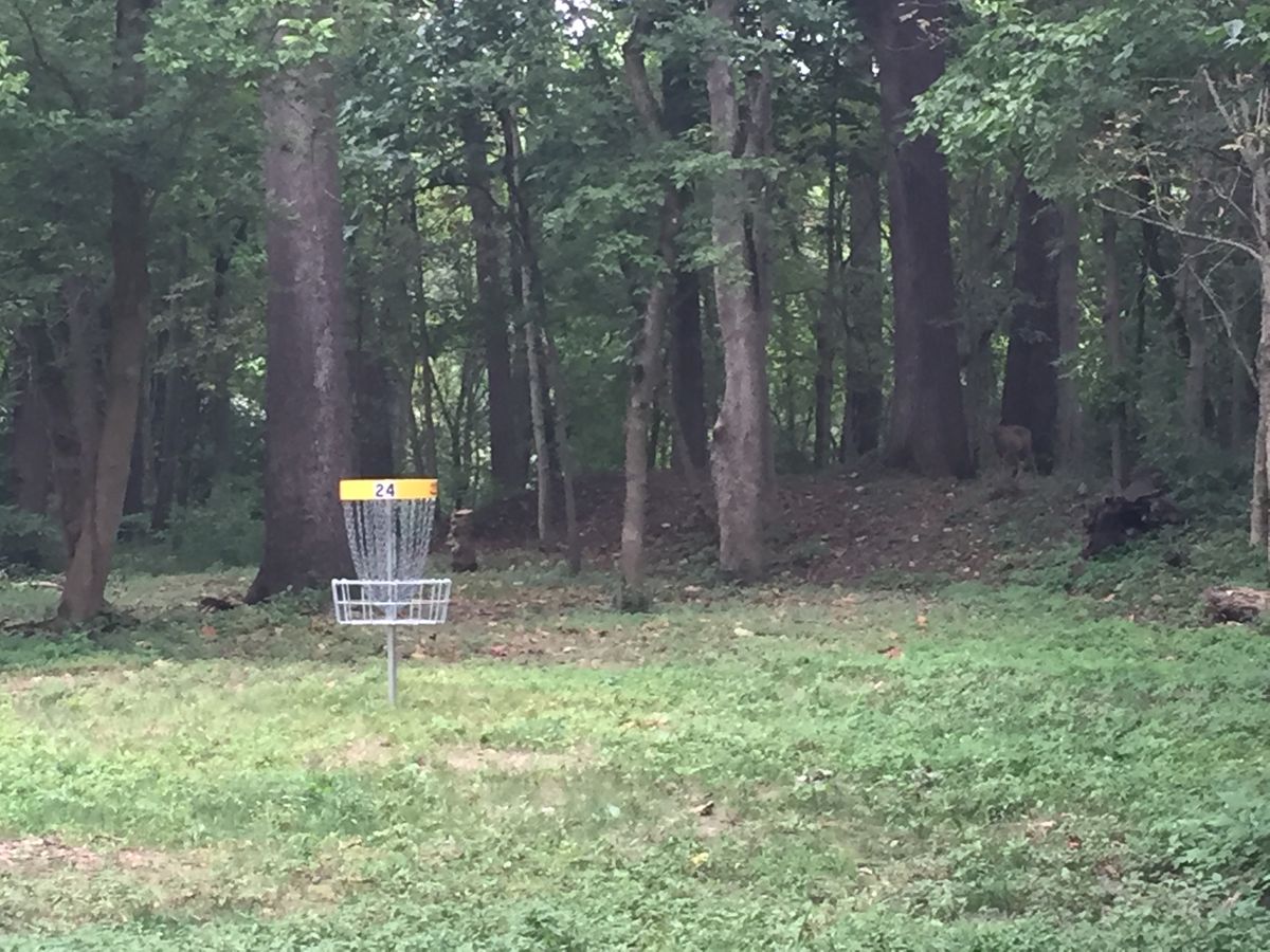 Hole 24.