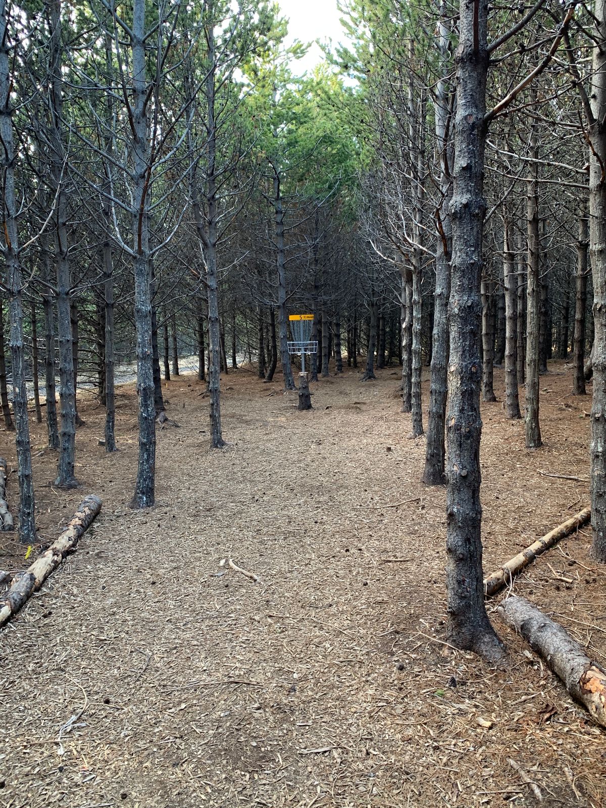 Hole 5