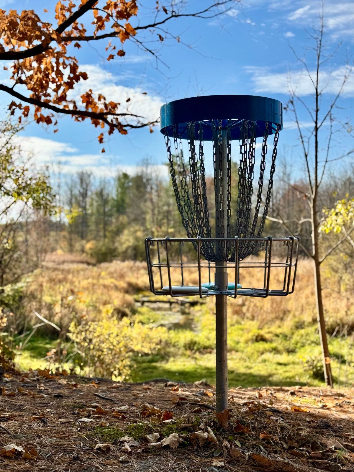 Hole 11 - looking back to the tee