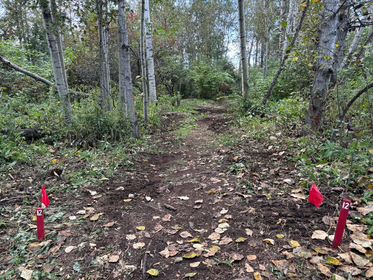 Hole 12 Reds