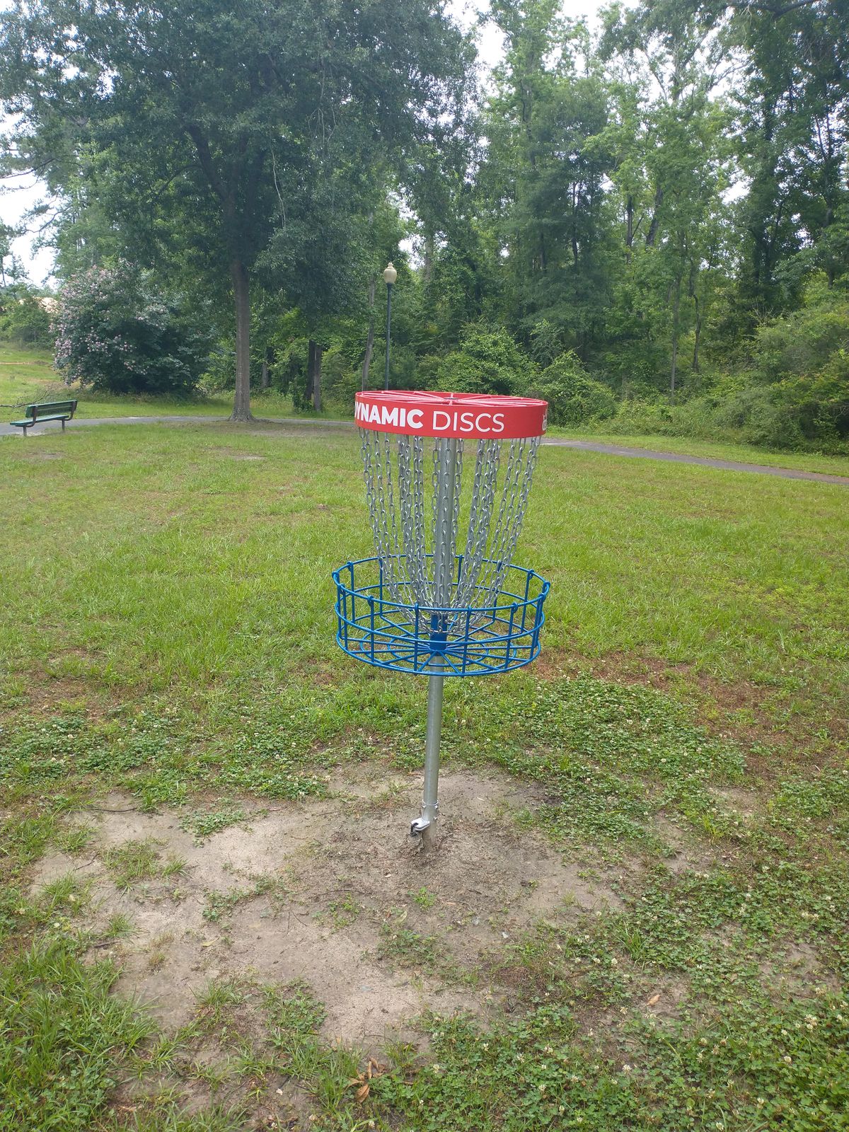 Hole 1 veteran basket 
