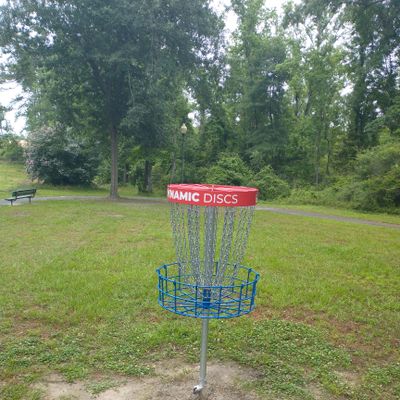 Hole 1 veteran basket 