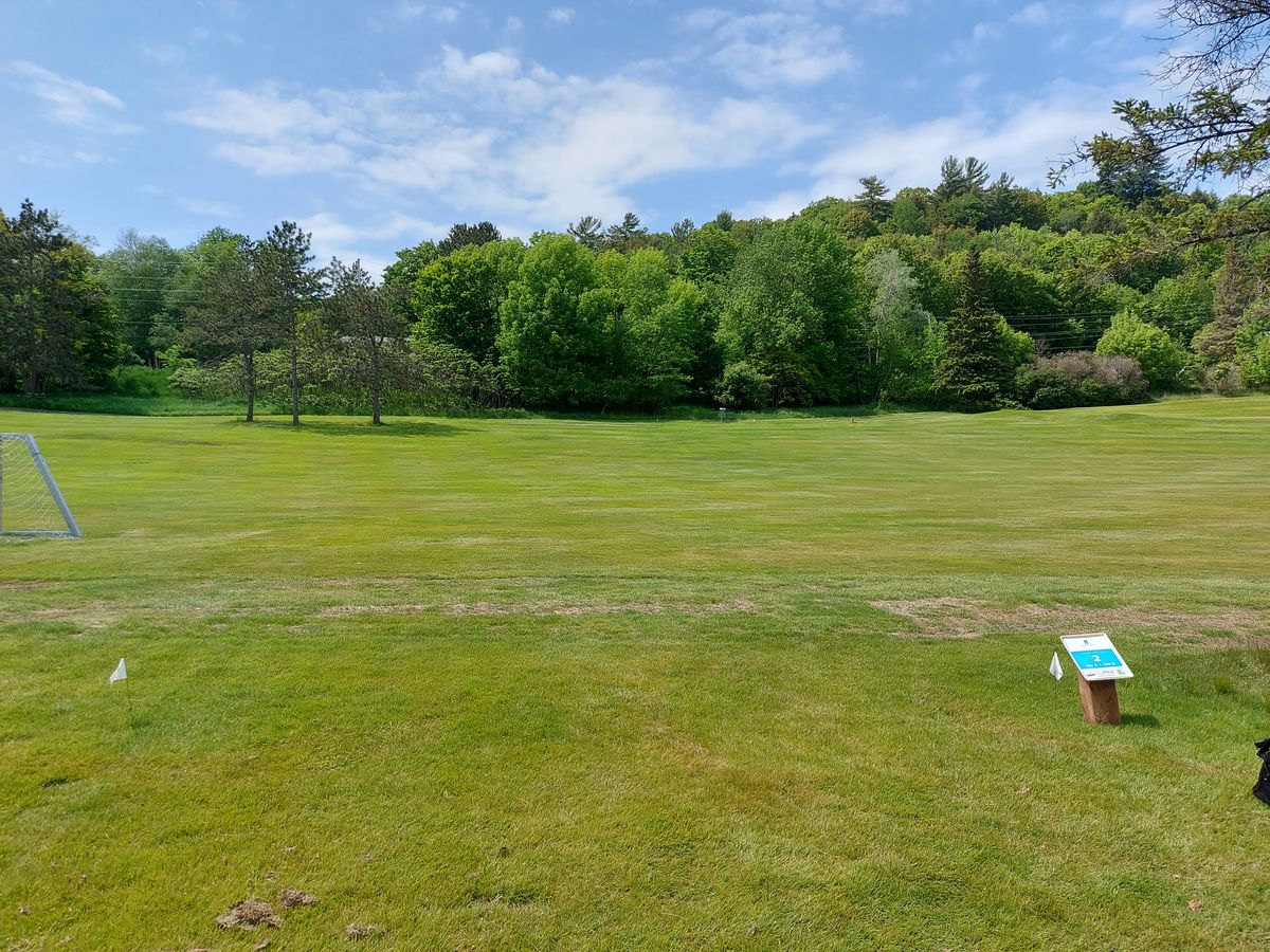 217ft tee pad 2 🦌🦌