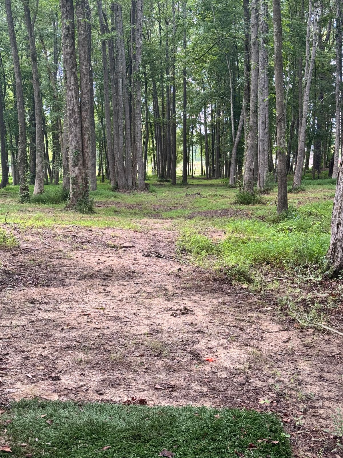 Hole 9